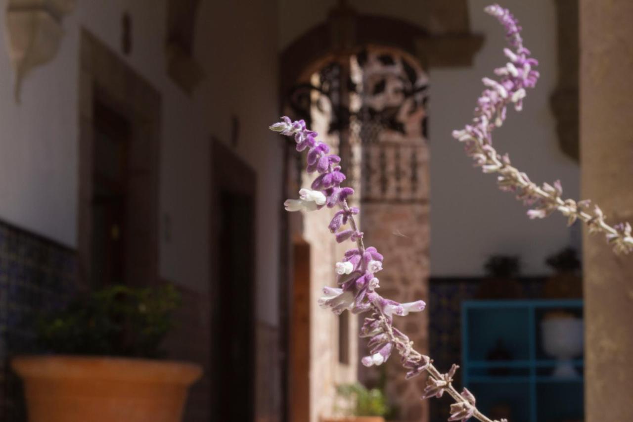 Nana Vida Hotel موروليا المظهر الخارجي الصورة